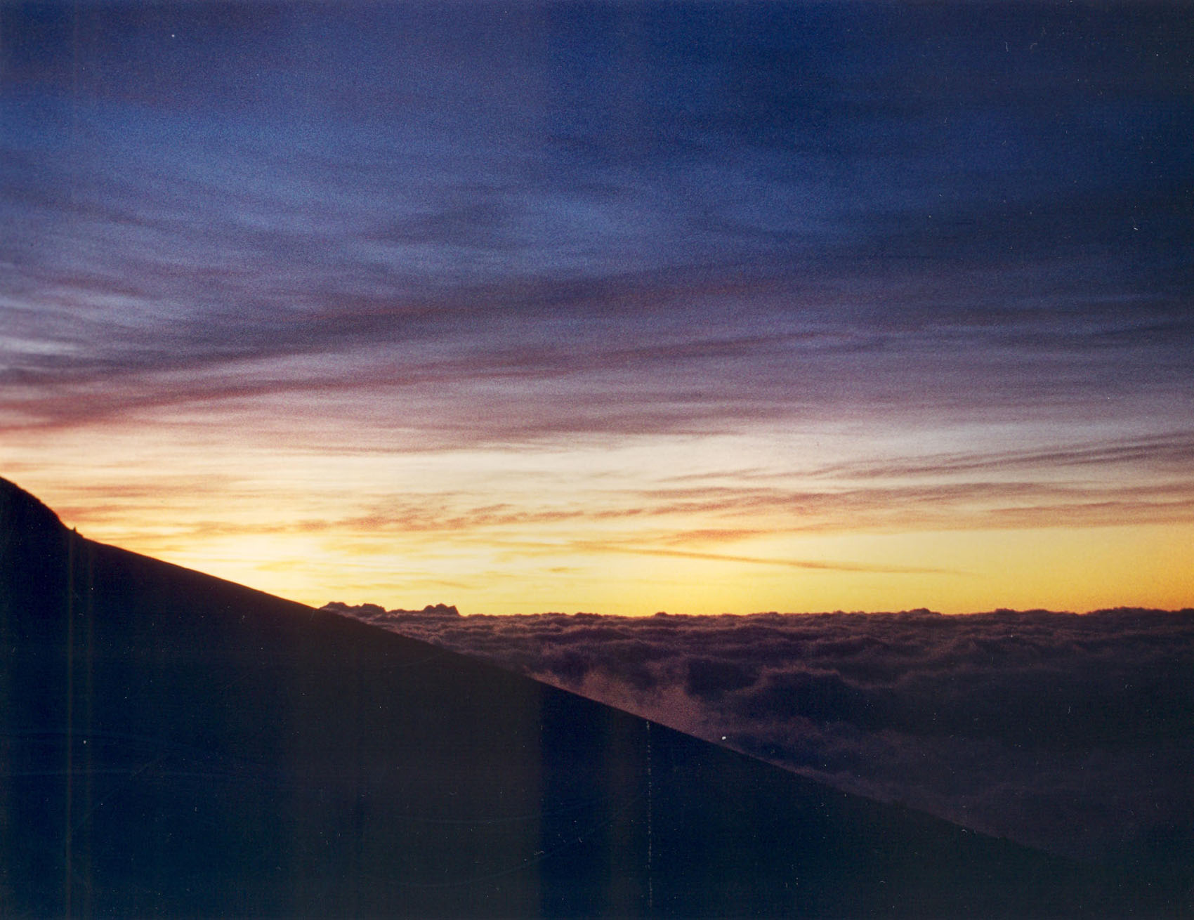 Alba ai Cosmiques Alba ai Cosmiques